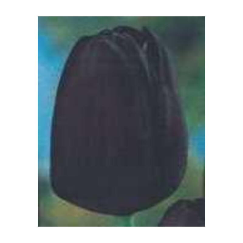 Tulipan późny – czarny Queen of Night 10 szt.