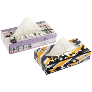 Chusteczki higieniczne 2-warstwowe box 100 szt.