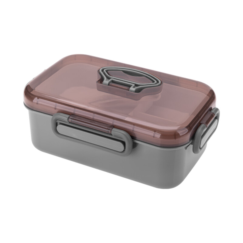 Lunchbox 22 × 14 × 8,5 cm