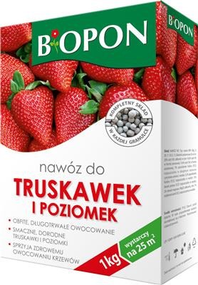 Bopon do truskawek i poziomek 1 kg