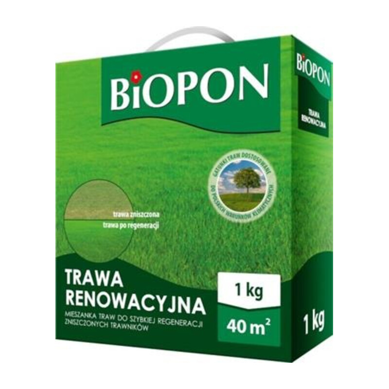Bopon trawa renowacyjna 1 kg