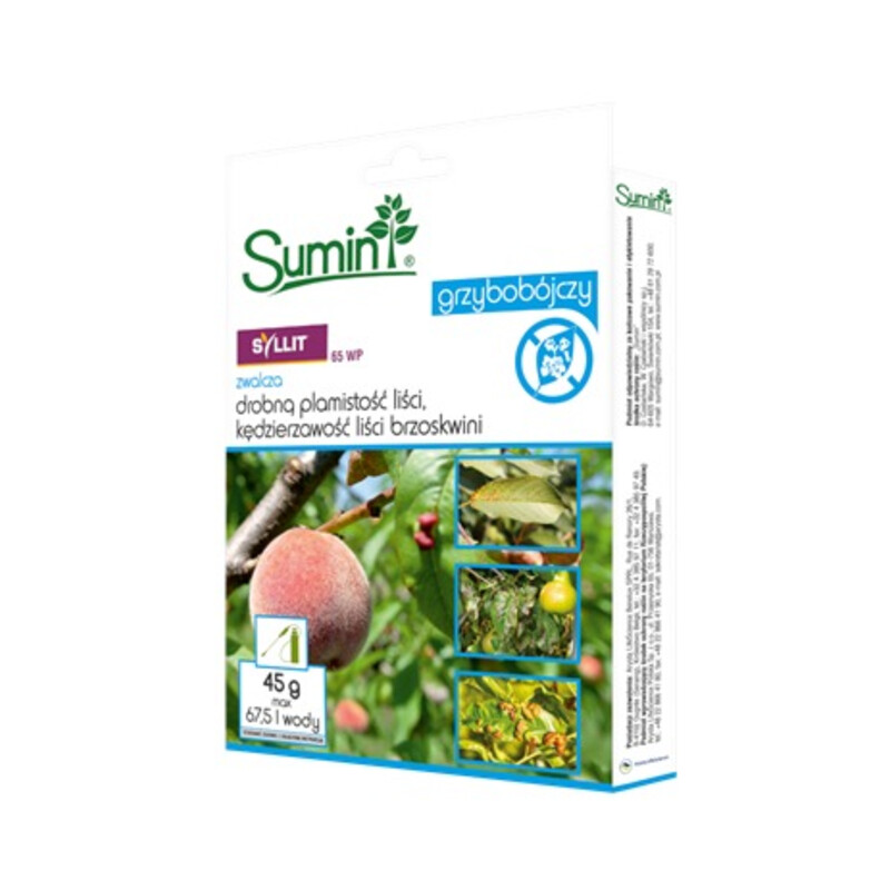 Syllit 65 WP 45 g