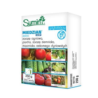 Miedzian 50 WP 250 g