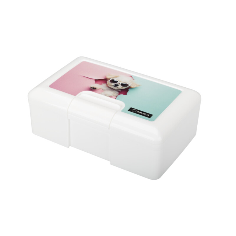 Lunchbox IML 19,5 × 12,5 × 7 cm – wzór 1