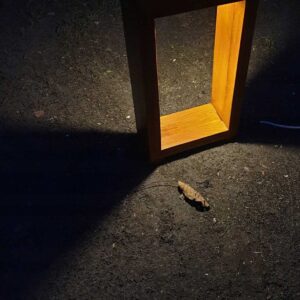 Lampa ogrodowa drewniana prostokątna wys. 80 cm sosna